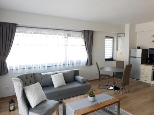 cosy apartment II - Apartment - Târgu-Mureş