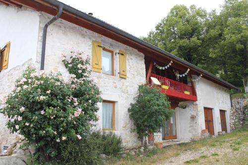 Chez Louve Bleue - Accommodation - Hotonnes