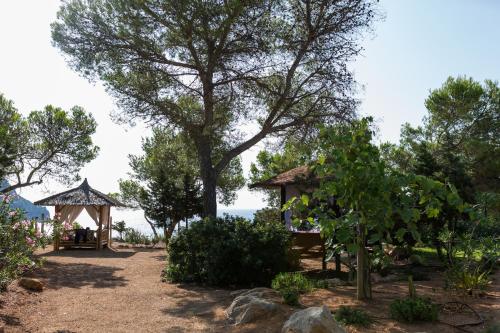 Hostal Cala Boix - image 5