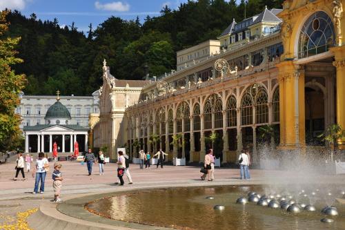 Spa Hotel Devin - image 5