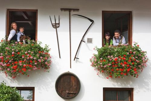 Bauer & Wirt Langthaler in Emmersdorf an der Donau