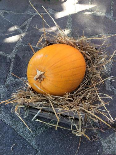  Il Posto dell’Origano in La Spezia