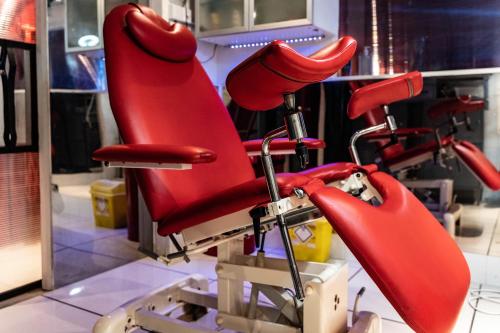 Brighton Erotic Boudoir - image 4