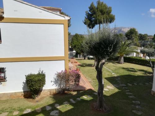 Zarzas B - image 8