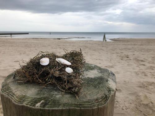 Ferienwohnung Strandnah