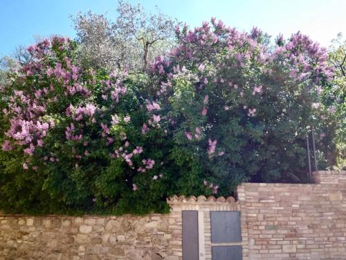  Lavanda e Rosmarino Home in Assisi