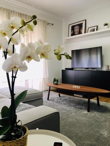  Amoreiras Place - Braga Guesthouse in Braga