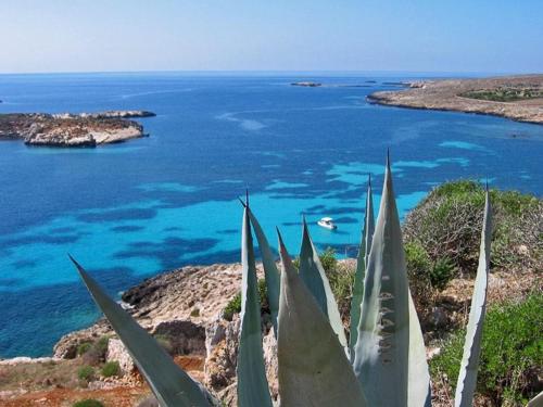 Villa Pirreca - Photo 3
