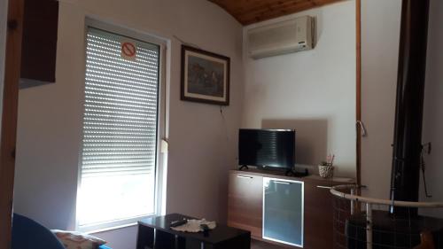 Apartma NADIŽA Borjana107