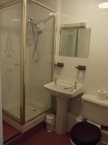 Plas Coch Hotel Ltd - image 6