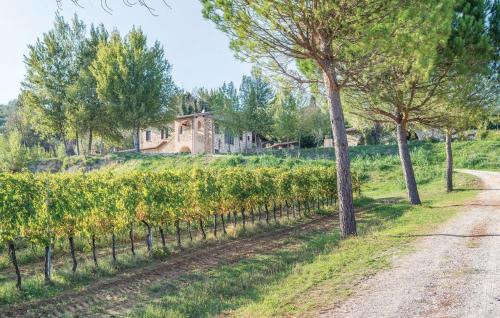  Agriturismo Wine Casale Villa Chiara in Torgiano