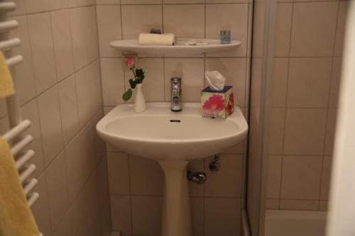 Single Room room in Hotel Garni Kaiserpfalz