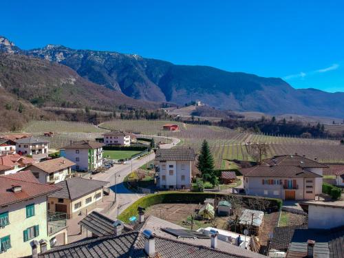 Agritur Piccolo Fiore B&B