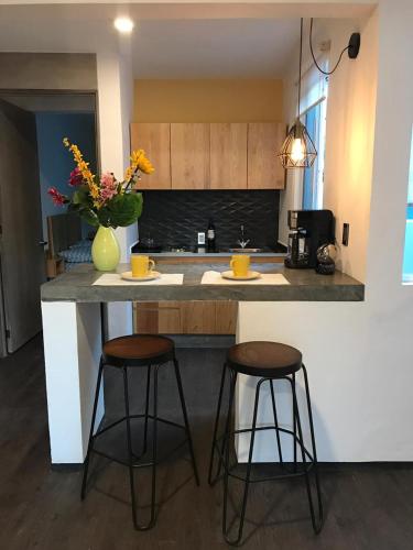 오악사카 Casa Maye 3성급 게스트하우스 수영장