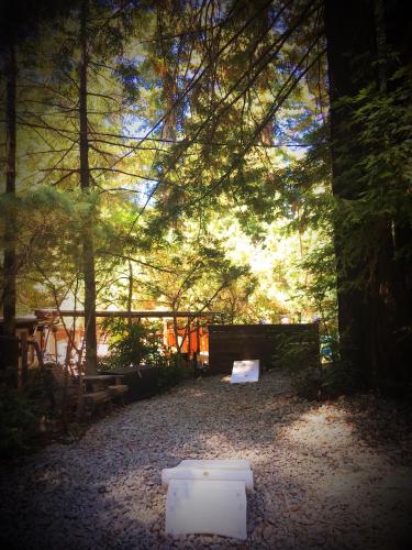 Redwoods River Resort & Campground Redwoods River Resort & Campground