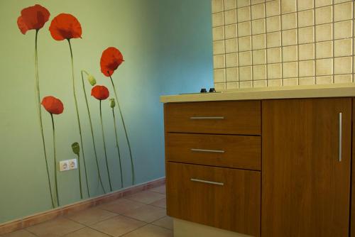 Apartamentos Concha - image 14