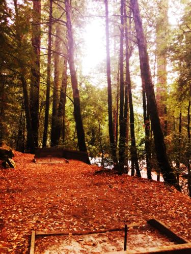 Redwoods River Resort & Campground Redwoods River Resort & Campground