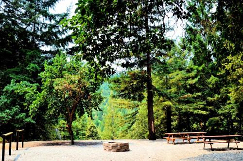 Redwoods River Resort & Campground Redwoods River Resort & Campground