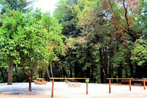 Redwoods River Resort & Campground