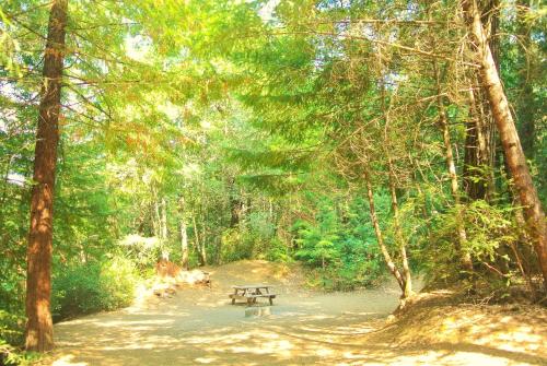 Redwoods River Resort & Campground