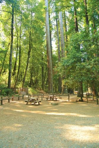 Redwoods River Resort & Campground