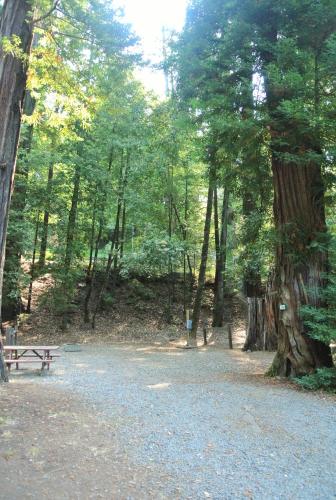 Redwoods River Resort & Campground