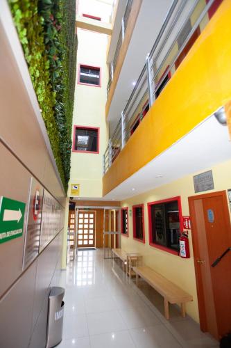 Hotel Lira - Sólo Adultos in Mexico City, Mexico
