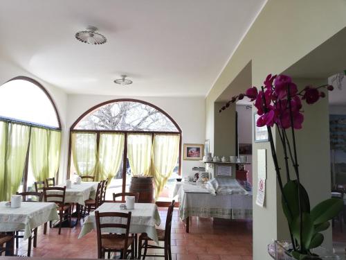 Agriturismo La Vigna 4
