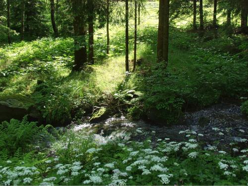 Gasthof-Hotel Dilger