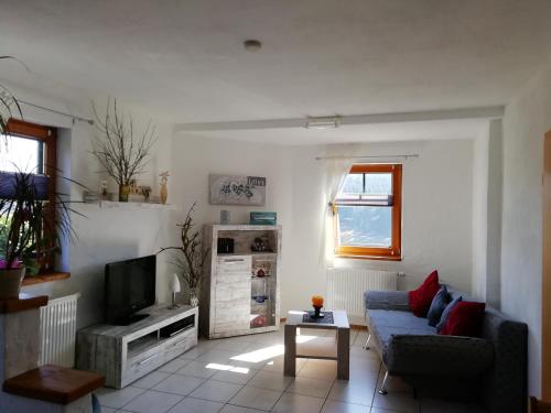 FeWO Koeppe in 科普