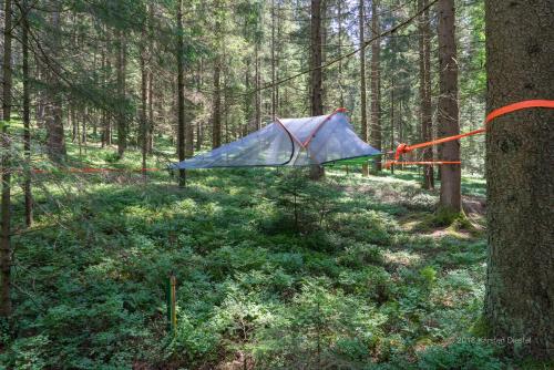 Baumzelt am Waldesrand