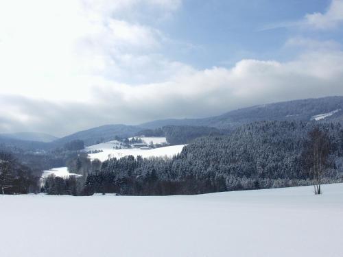 Gasthof-Hotel Dilger