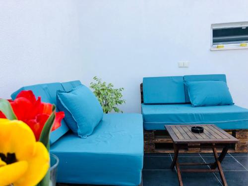 SKYLER GUEST HOUSE - image 7