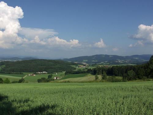 Gasthof-Hotel Dilger