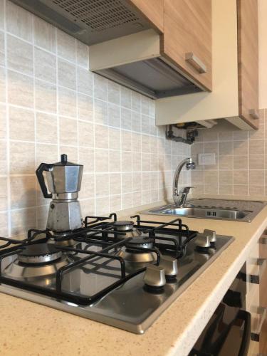 One-Bedroom Apartment image 7