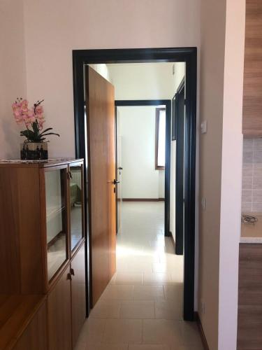 One-Bedroom Apartment image 8