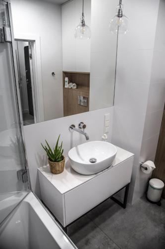 MyCherry - Old Town Apartment - Księcia Witolda 27, Wrocław (photo 10)