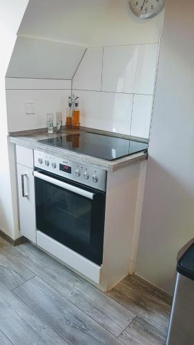 Zwei schicke Apartments mit Parkplatz, Kolín nad Rýnem (fotografie 7)