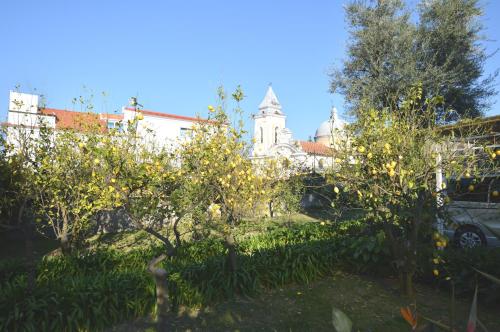 Villa Kalimera - image 11