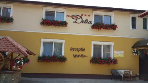 Pension Delia Gardens - image 4