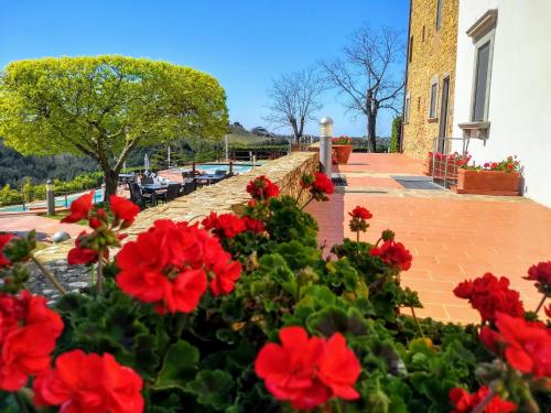 Borgo La Casaccia - image 6