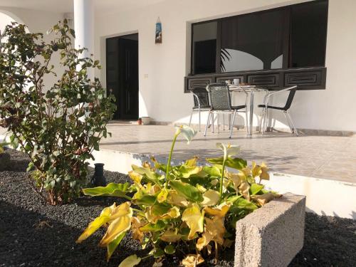 Pemandangan luar, Love Yaiza in Yaiza