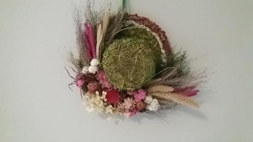  Sunrise B&B in Lokeren