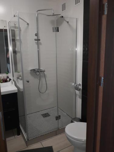 Apartament Czwarte Piętro, Świecie (photo 4)