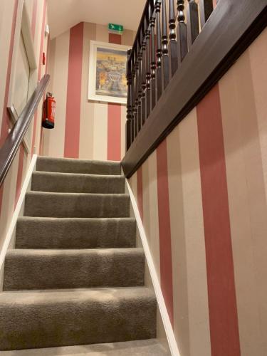 The Ivy - image 3