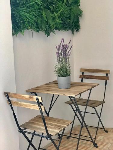 HOSTEL ALAMEDA EXCLUSIVE HOUSE - image 5