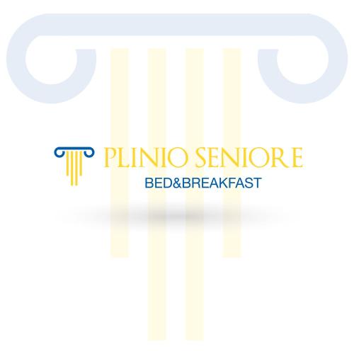 Plinio Seniore 2