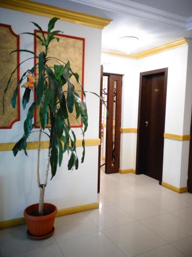 Vesta Hotel - main image