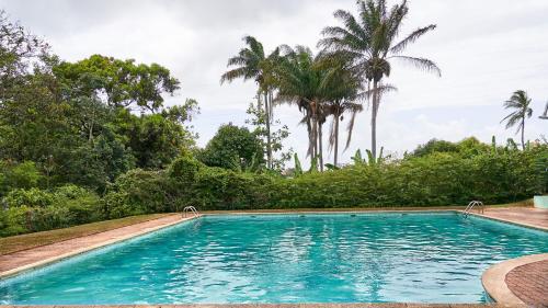 Фотография номера квартиры Appartements Standings à Cayenne