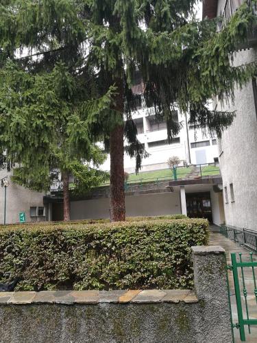  In centro , ma a due passi dal bosco in Bardonecchia
